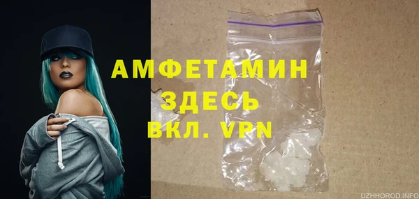 гашик Пересвет