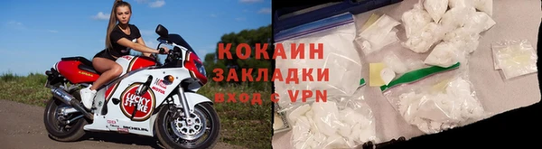 гашик Пересвет