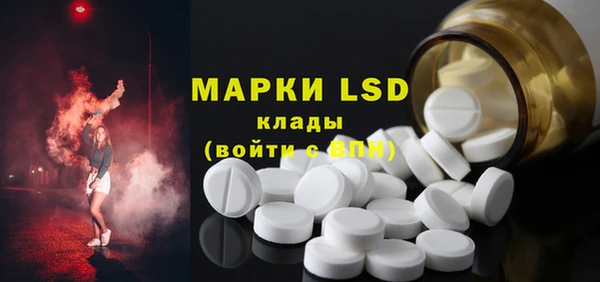 гашик Пересвет