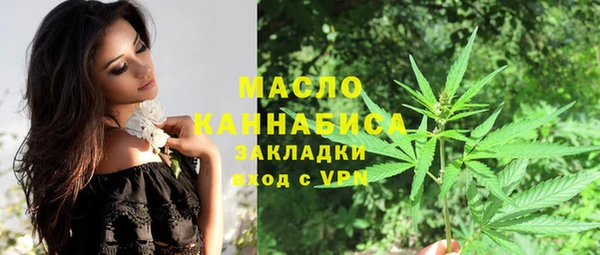 гашик Пересвет
