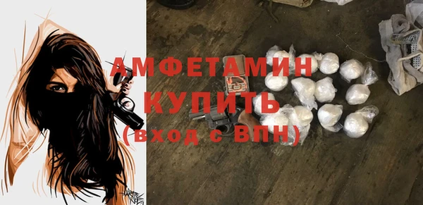 гашик Пересвет