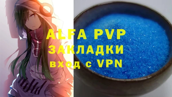 гашик Пересвет