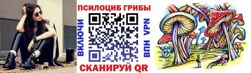 mega сайт  Покровск  Псилоцибиновые грибы Cubensis 